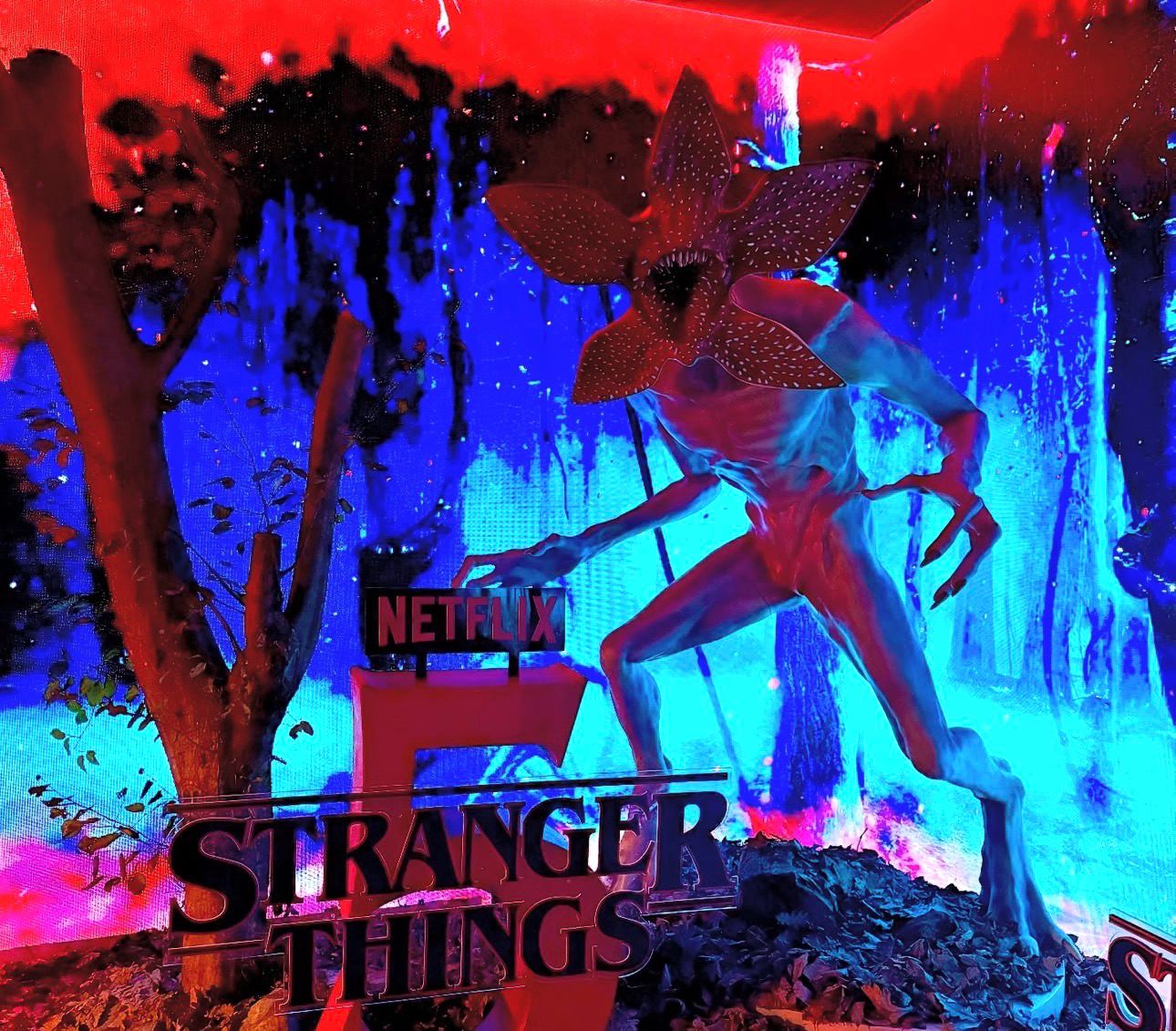 Etkinlik Dekorasyonu